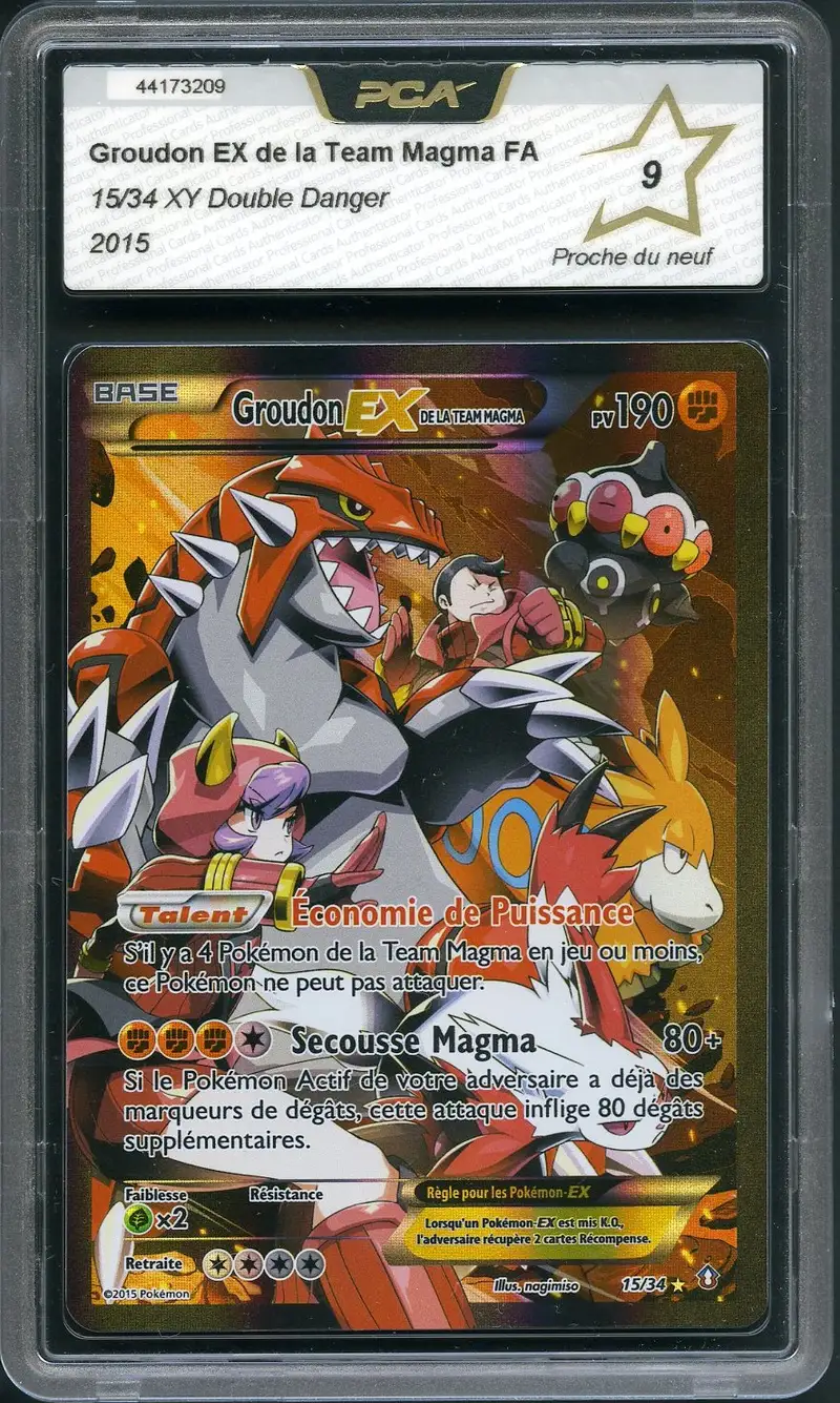 PCA 9 Groudon Ex de la Team Magma