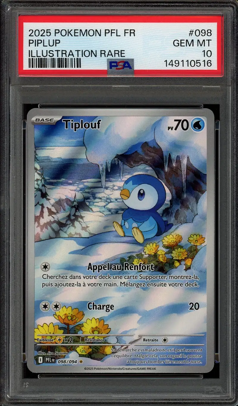PSA 10 Tiplouf