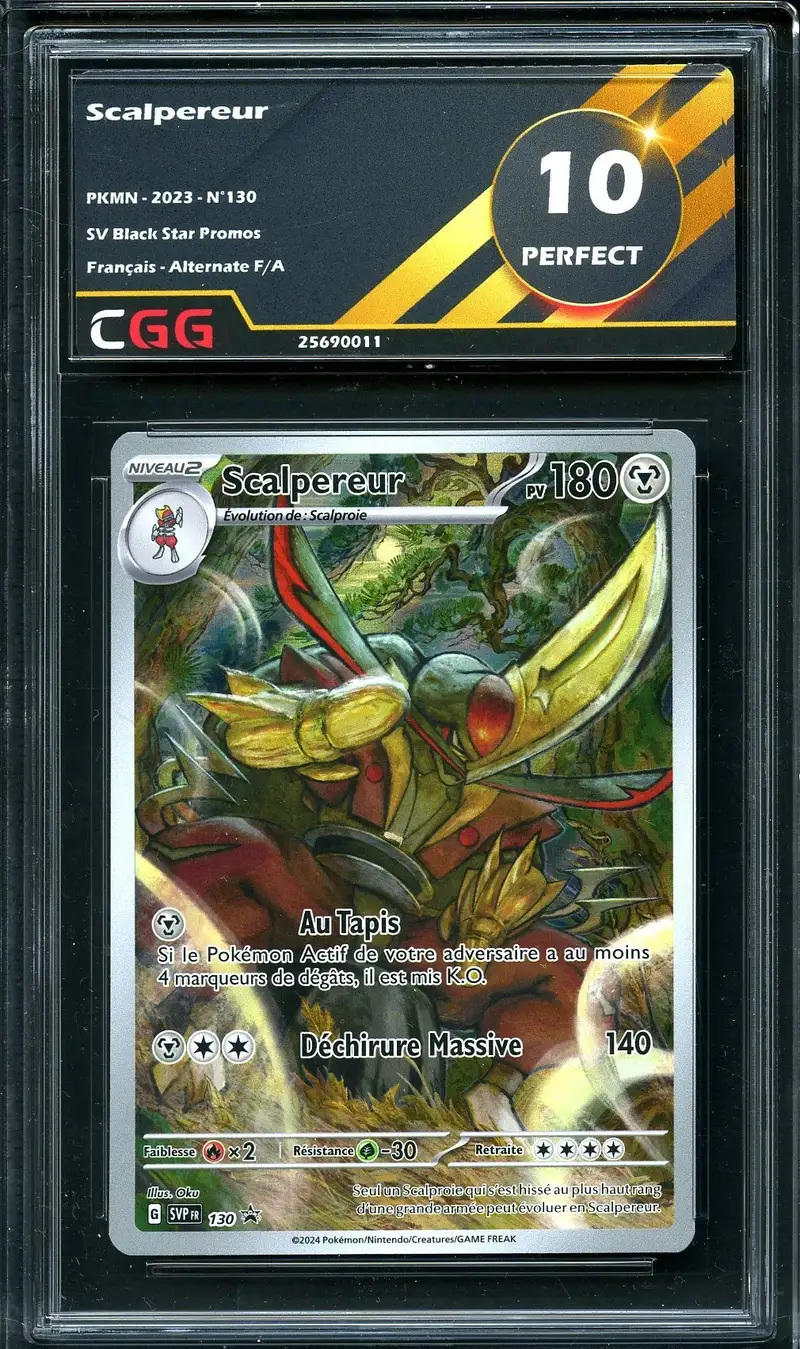 CGG 10 Scalpereur