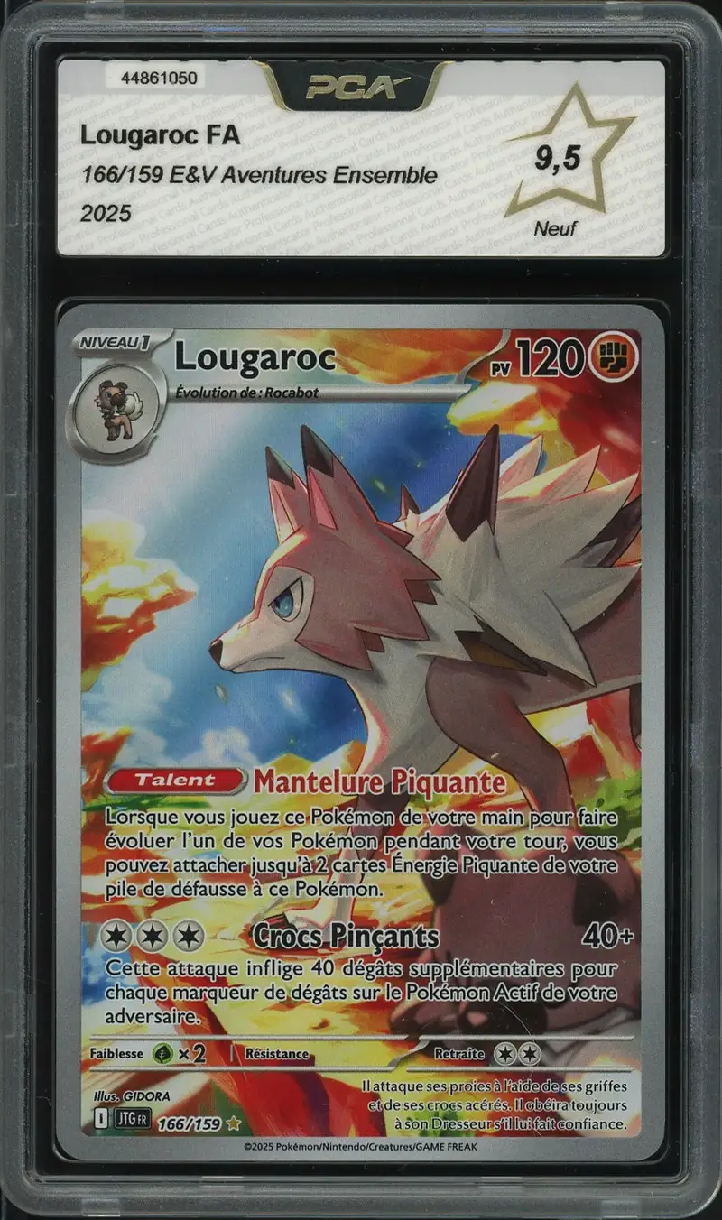 PCA 9.5 Lougaroc