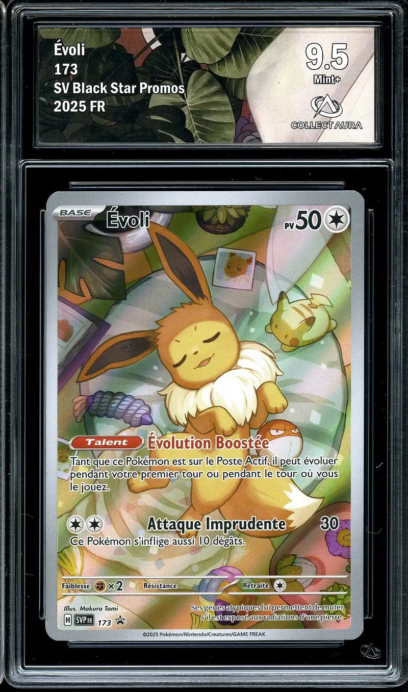 CA 9.5 Evoli