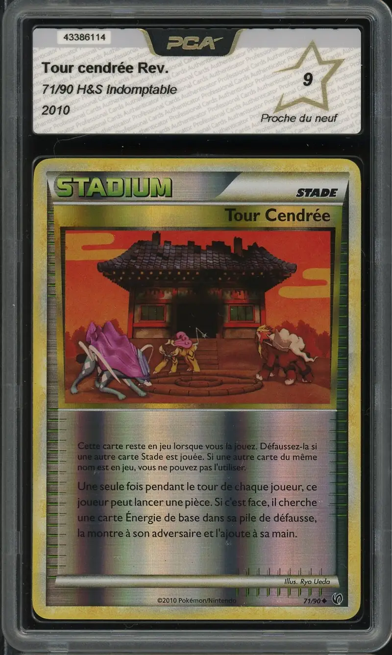 PCA 9 Tour Cendrée Reverse