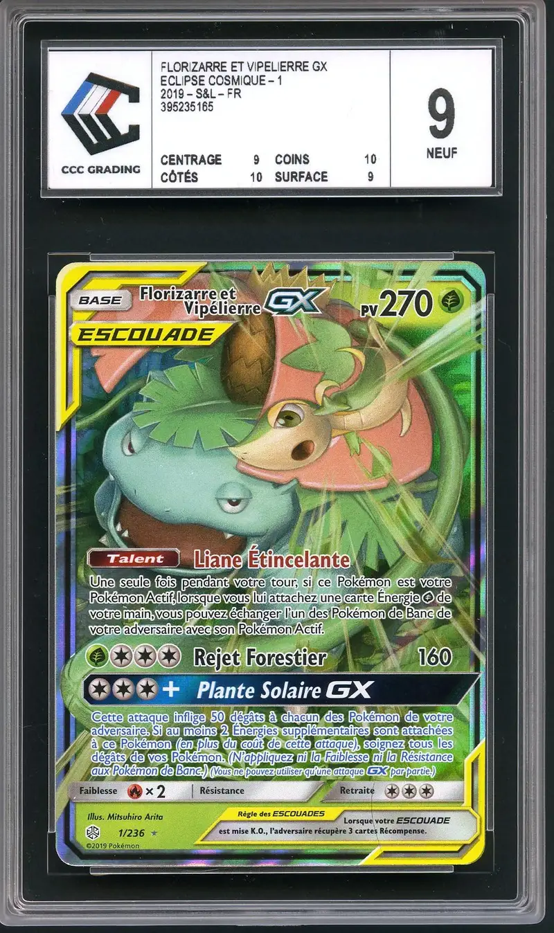 CCC 9 Florizarre et Vipélierre Gx