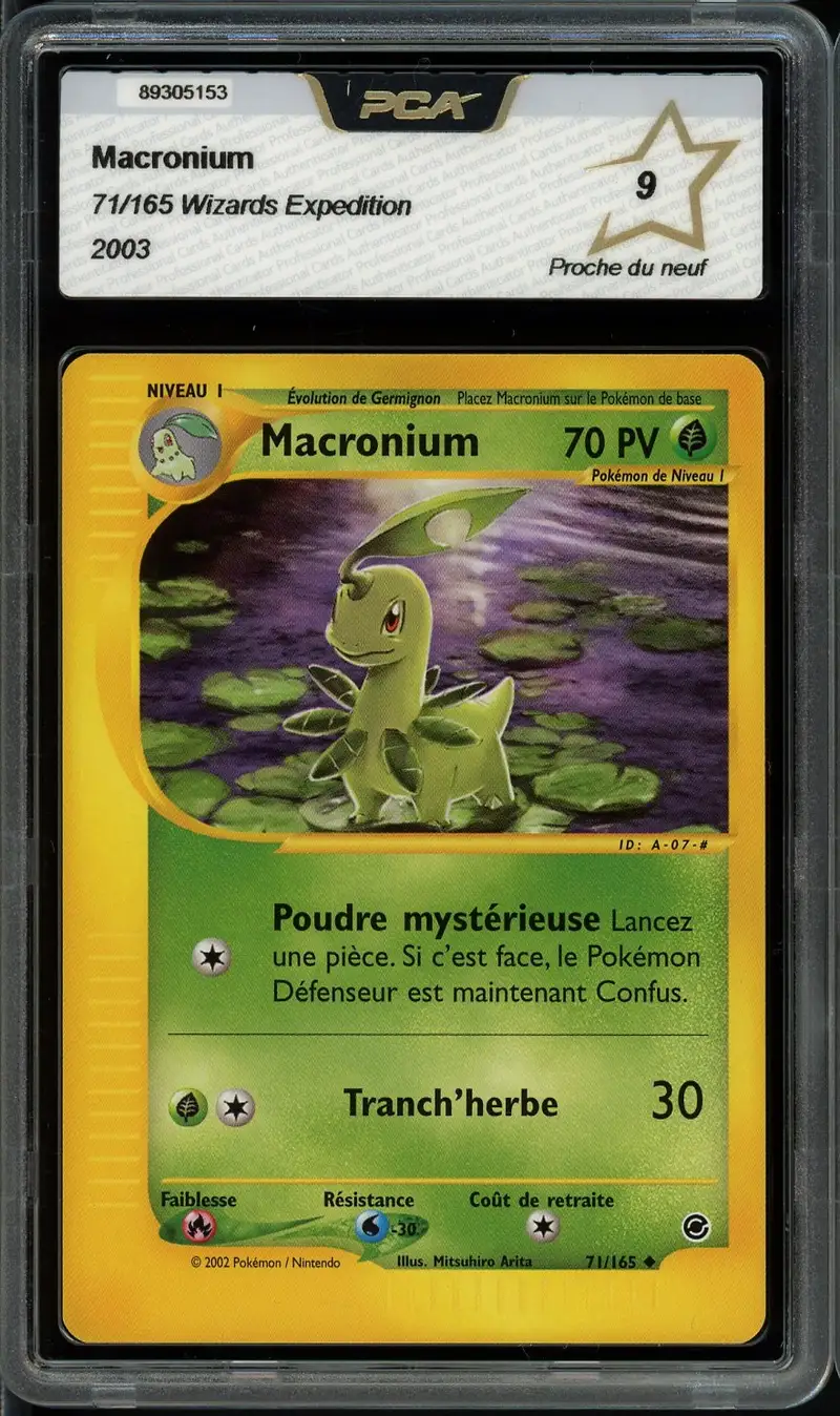 PCA 9 Macronium