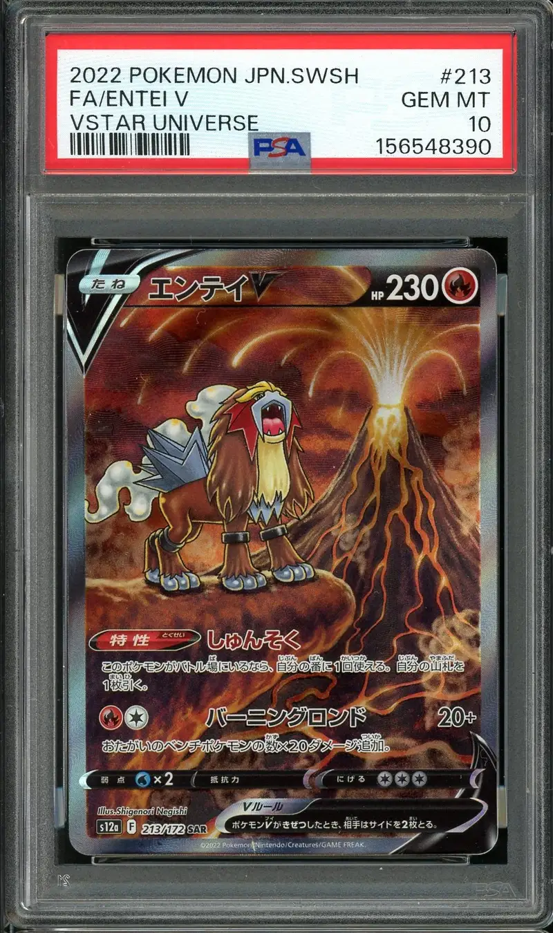PSA 10 Entei V