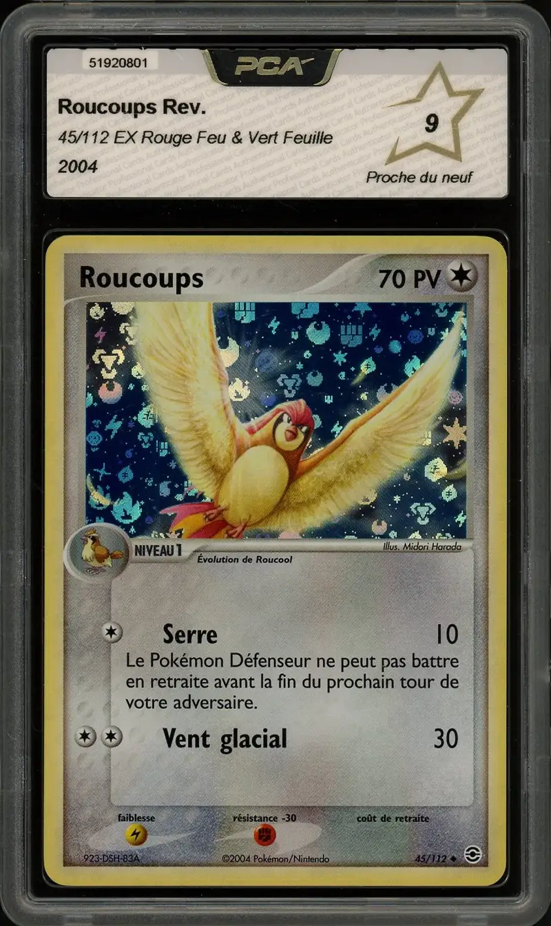 PCA 9 Roucoups Reverse
