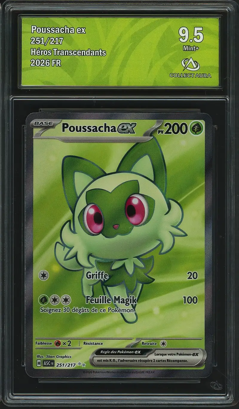 CA 9.5 Poussacha Ex