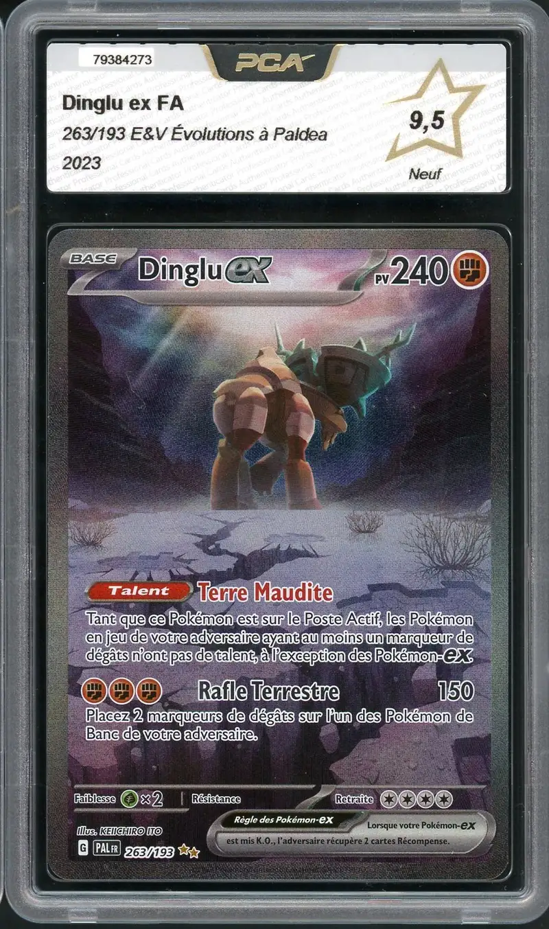 PCA 9.5 Dinglu Ex
