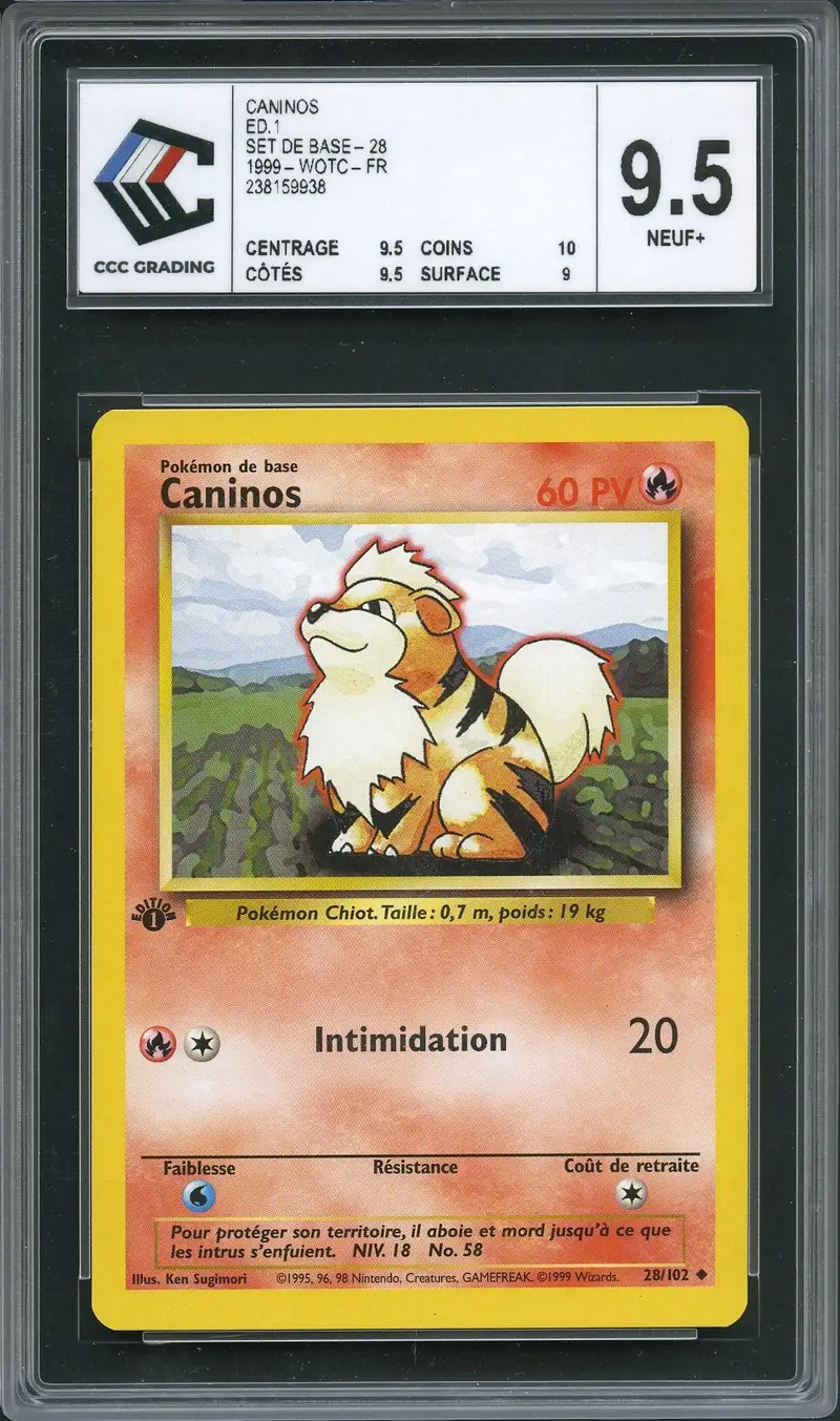 CCC 9.5 Caninos