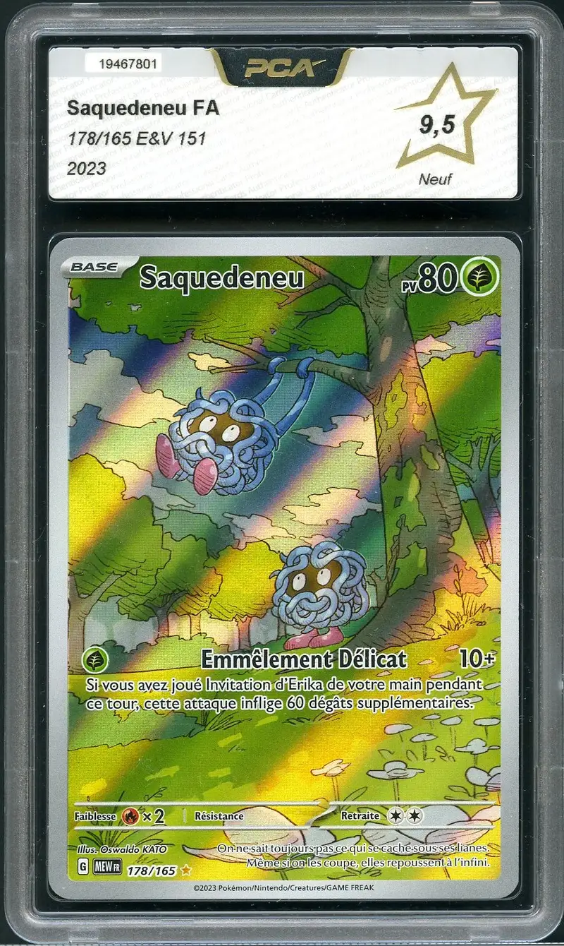 PCA 9.5 Saquedeneu