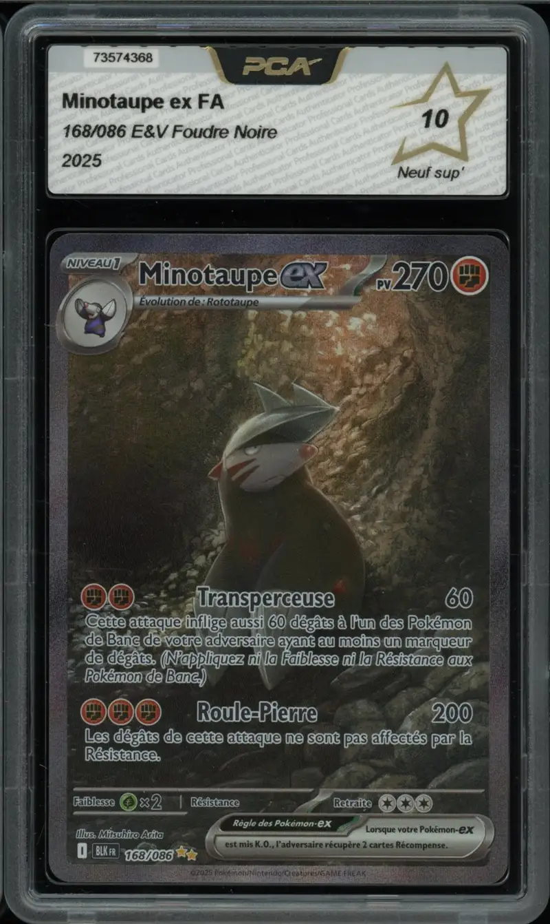PCA 10 Minotaupe Ex