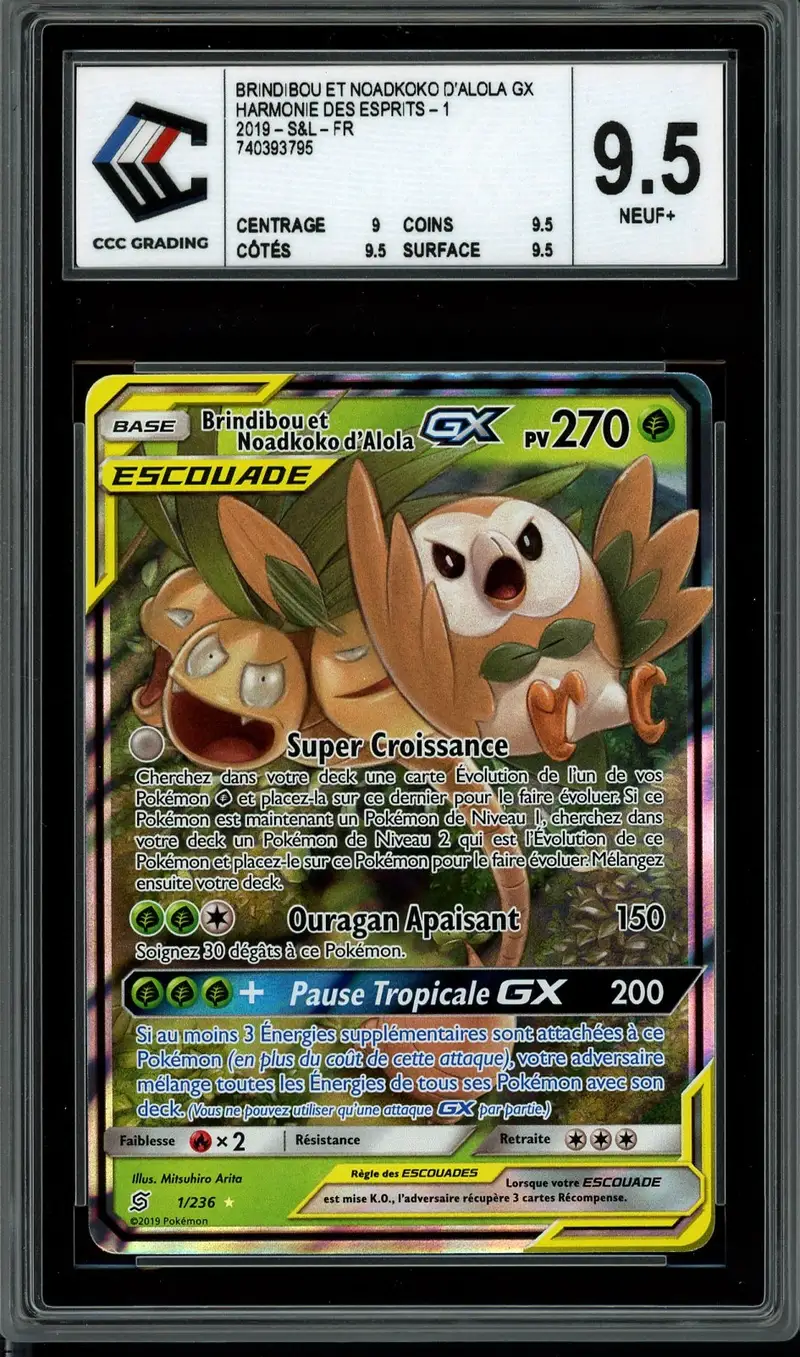 CCC 9.5 Brindibou et Noadkoko d’Alola Gx