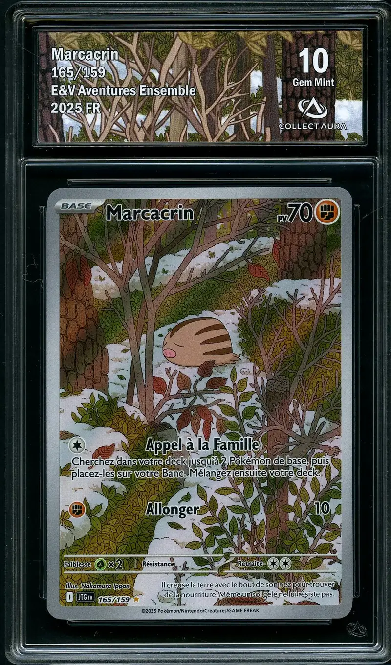 CA 10 Marcacrin