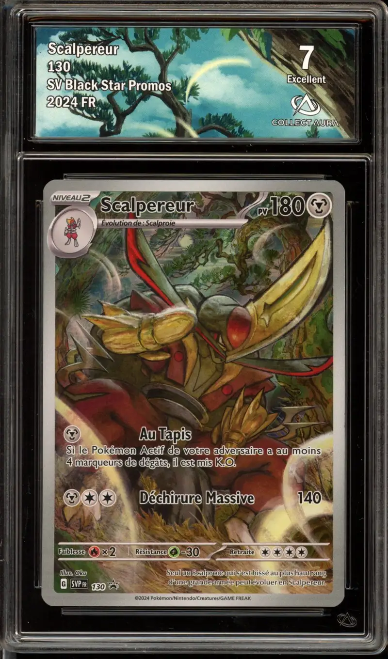 CA 7 Scalpereur