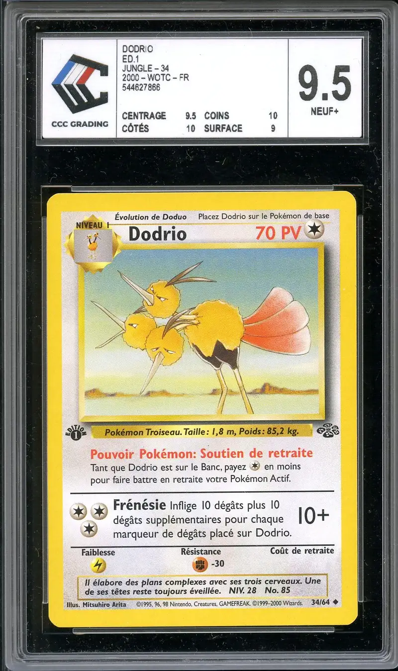 CCC 9.5 Dodrio