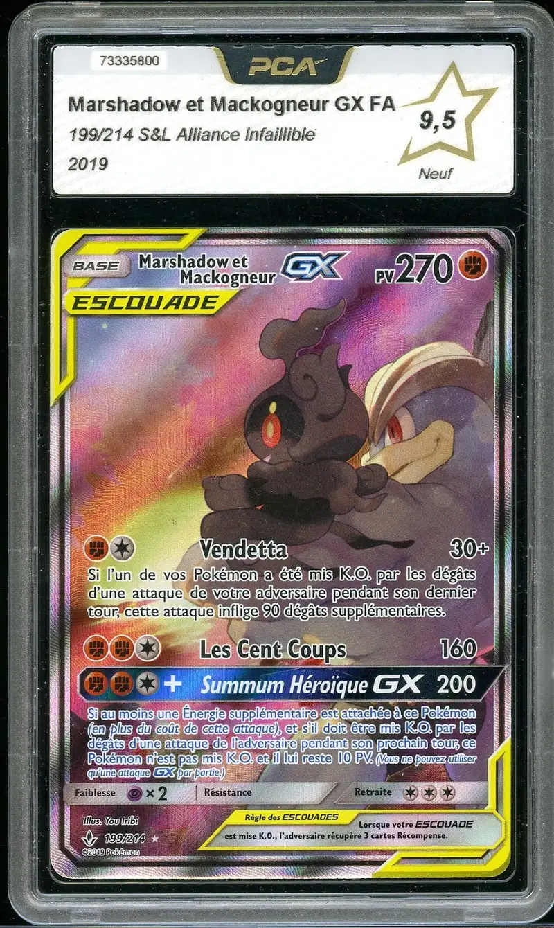 PCA 9.5 Marshadow et Mackogneur Gx