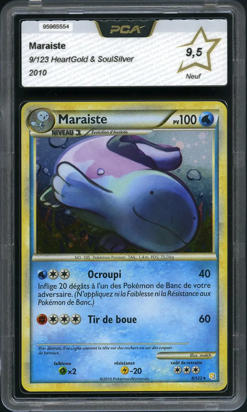 PCA 9.5 Maraiste Holo