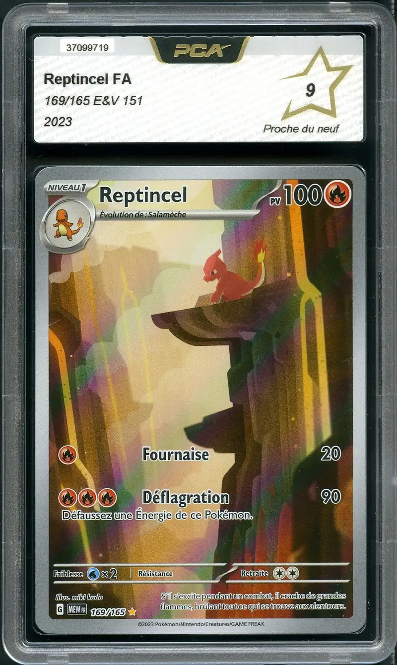 PCA 9 Reptincel