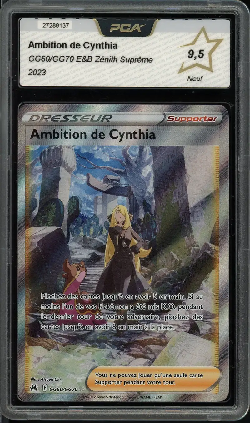 PCA 9.5 Ambition de Cynthia
