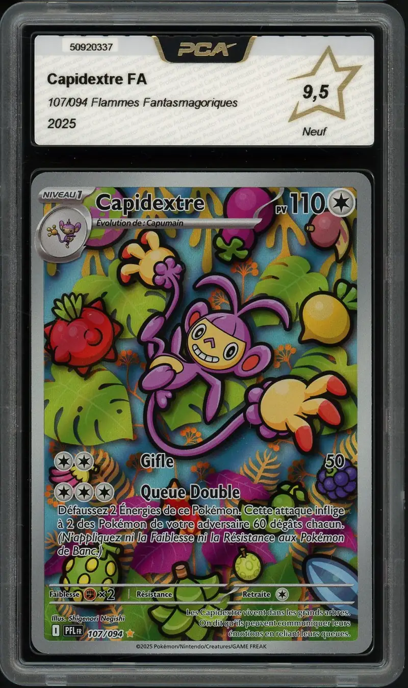 PCA 9.5 Capidextre