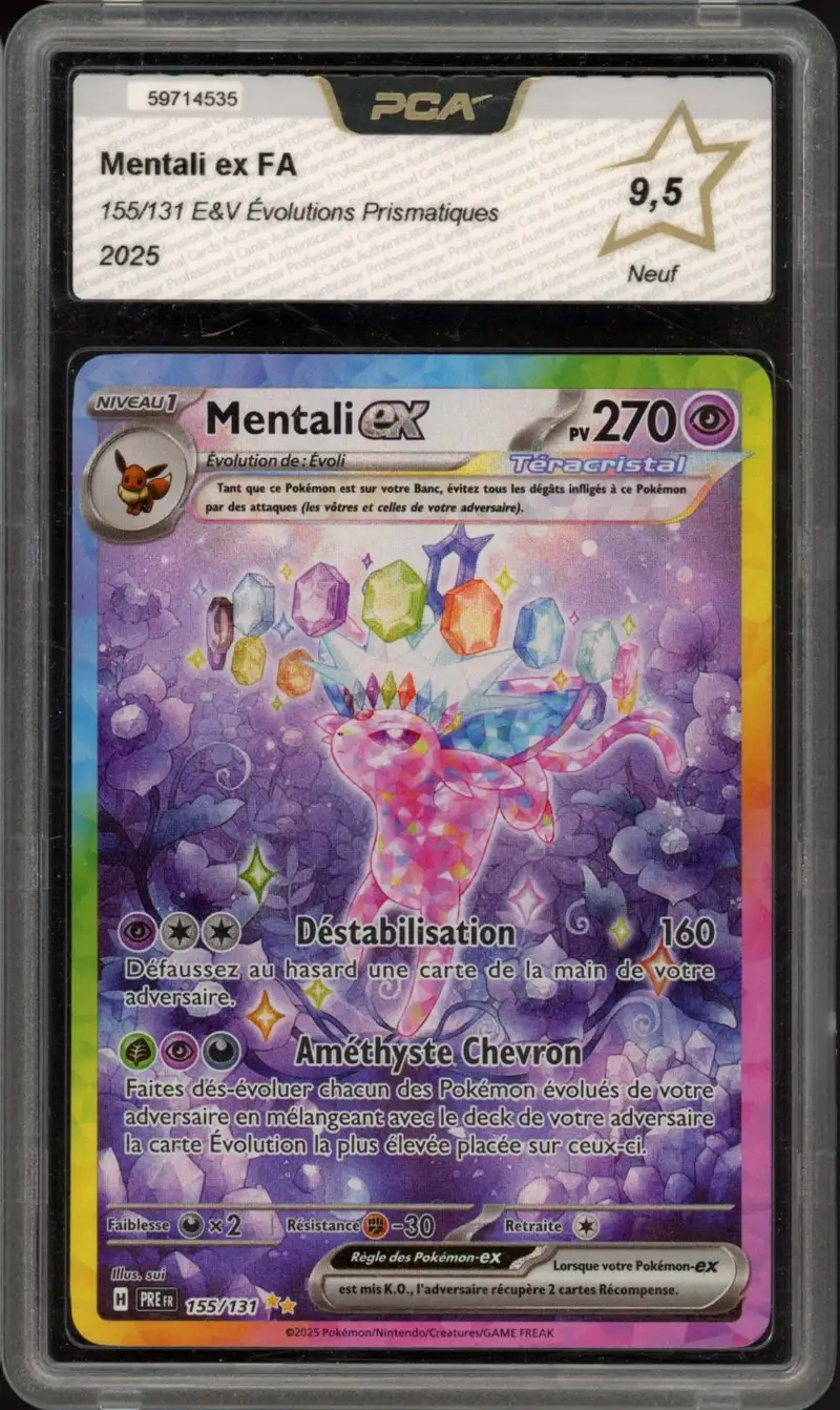 PCA 9.5 Mentali Ex
