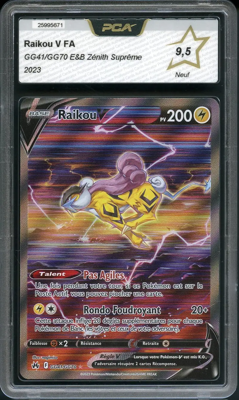 PCA 9.5 Raikou V