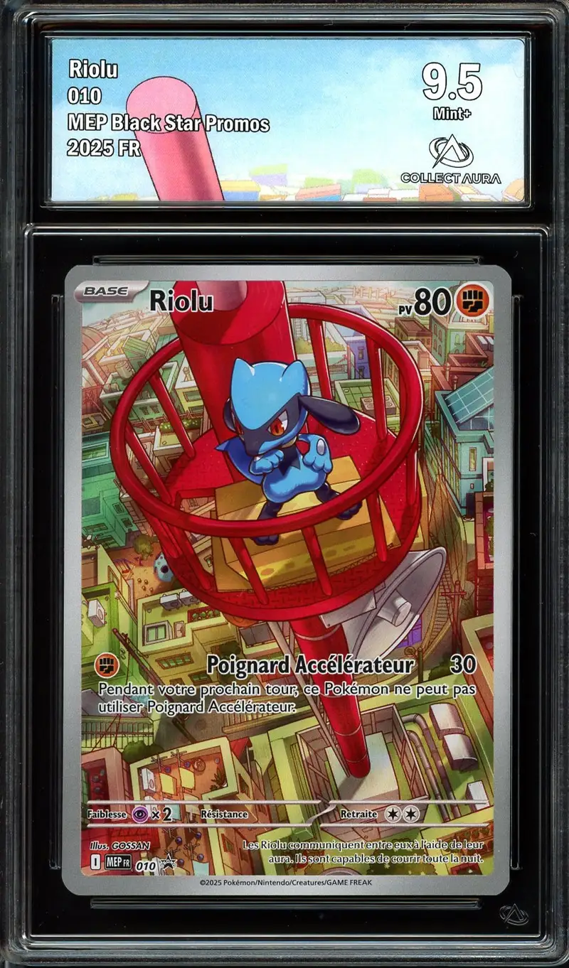 CA 9.5 Riolu