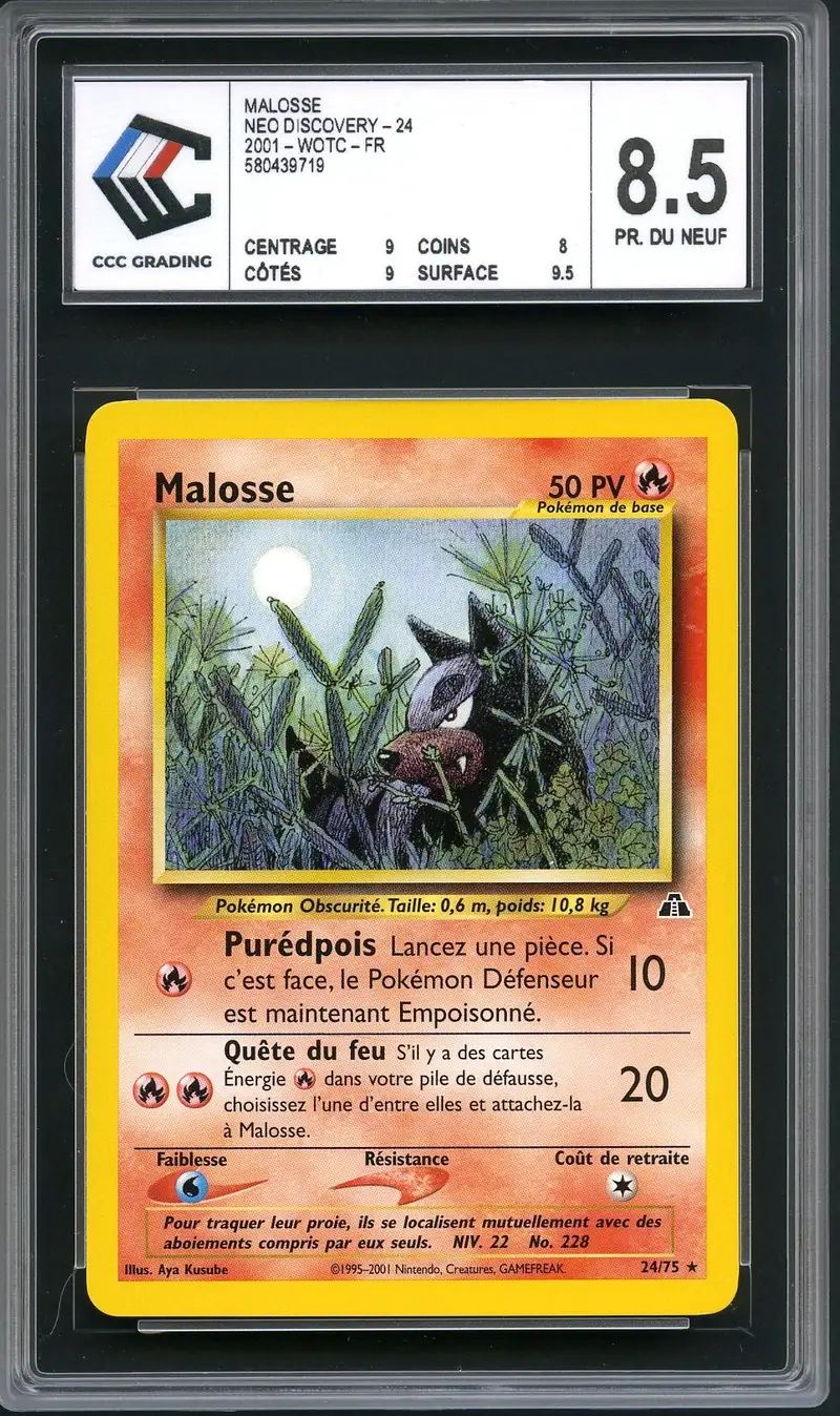 CCC 8.5 Malosse