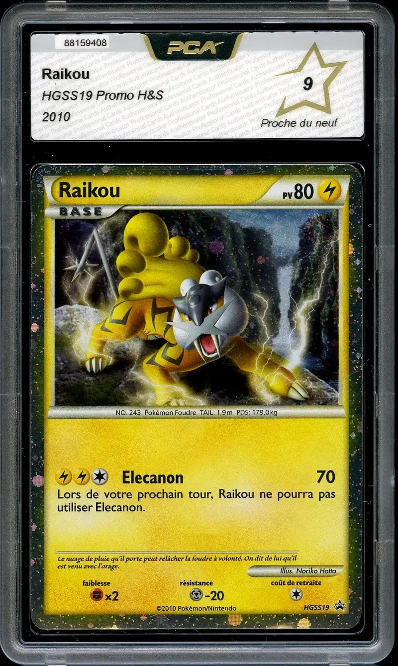 PCA 9 Raikou Holo