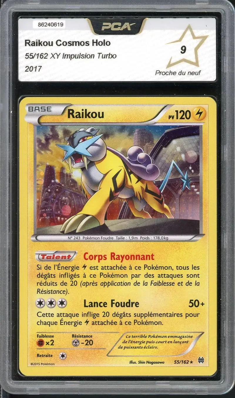 PCA 9 Raikou Holo