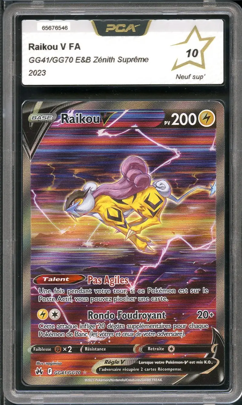 PCA 10 Raikou V
