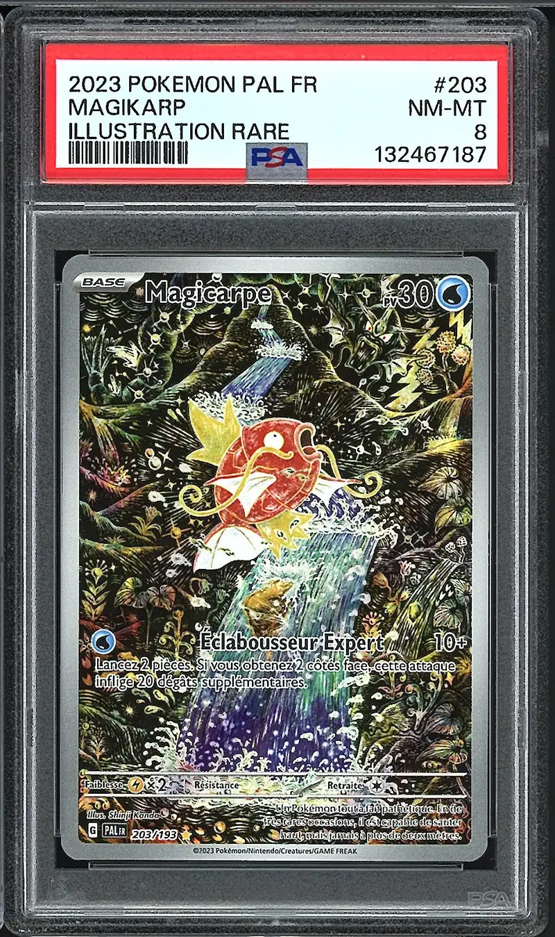 PSA 8 Magicarpe