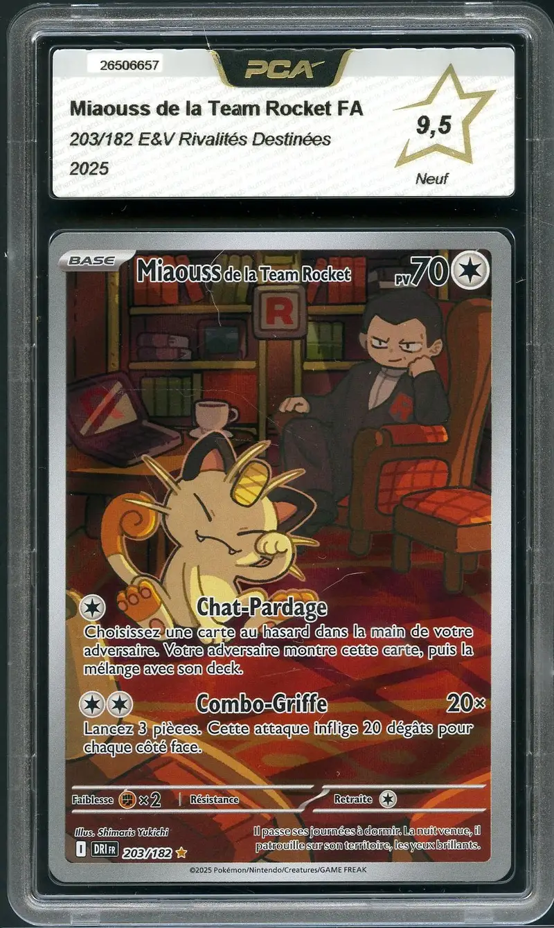 PCA 9.5 Miaouss de la Team Rocket