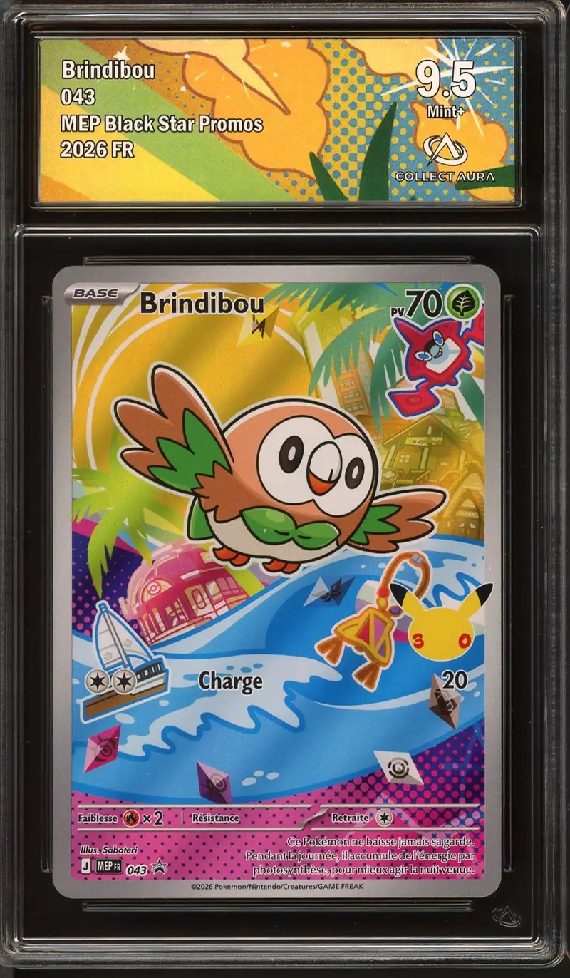 CA 9.5 Brindibou