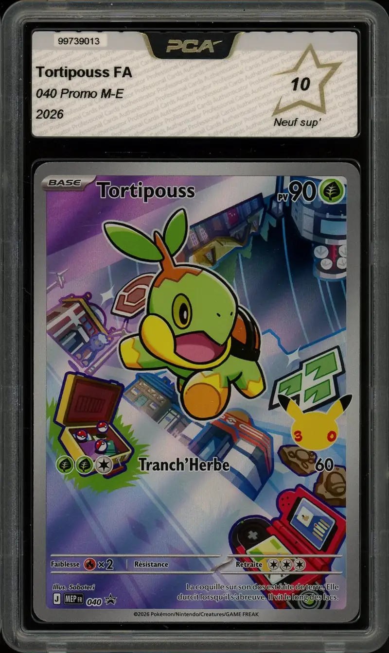 PCA 10 Tortipouss