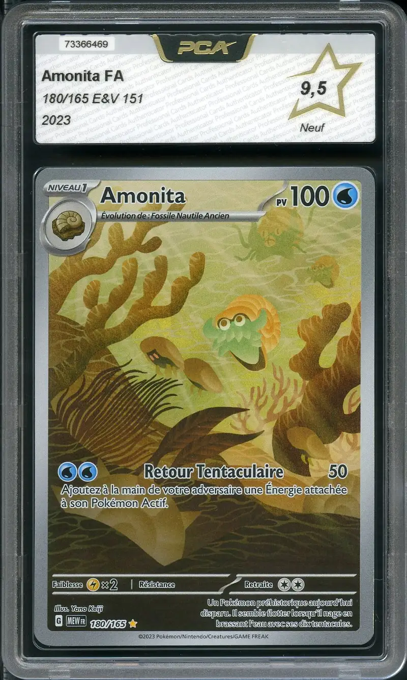 PCA 9.5 Amonita