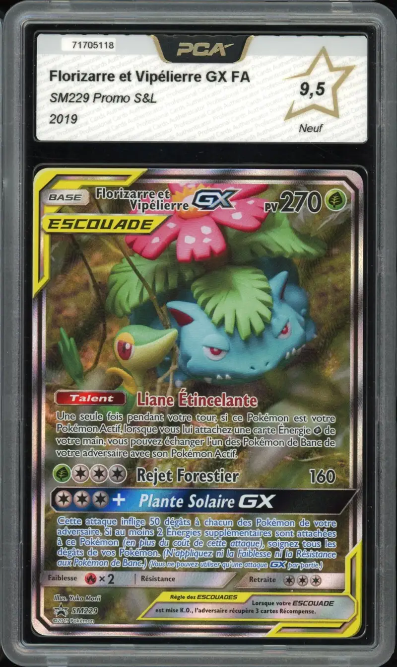 PCA 9.5 Florizarre et Vipélierre Gx