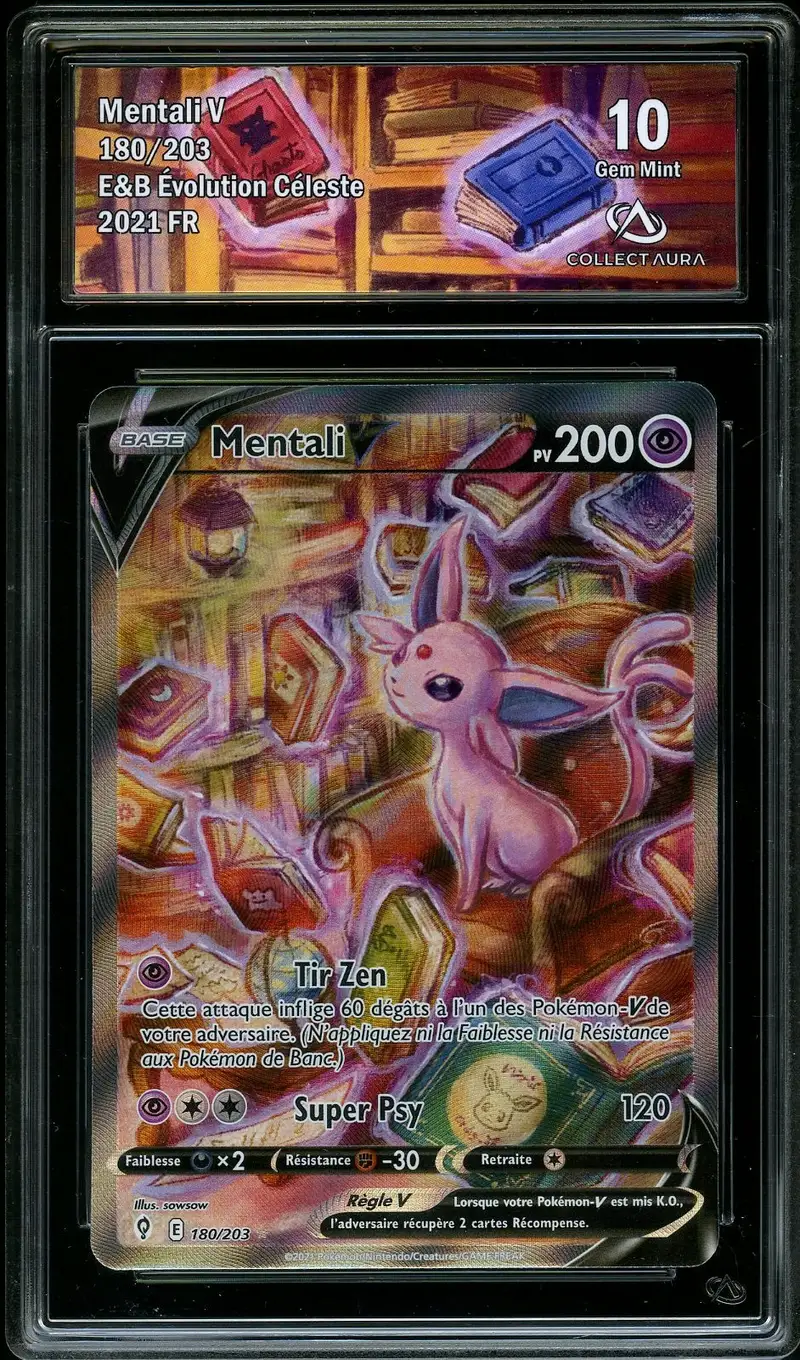 CA 10 Mentali V