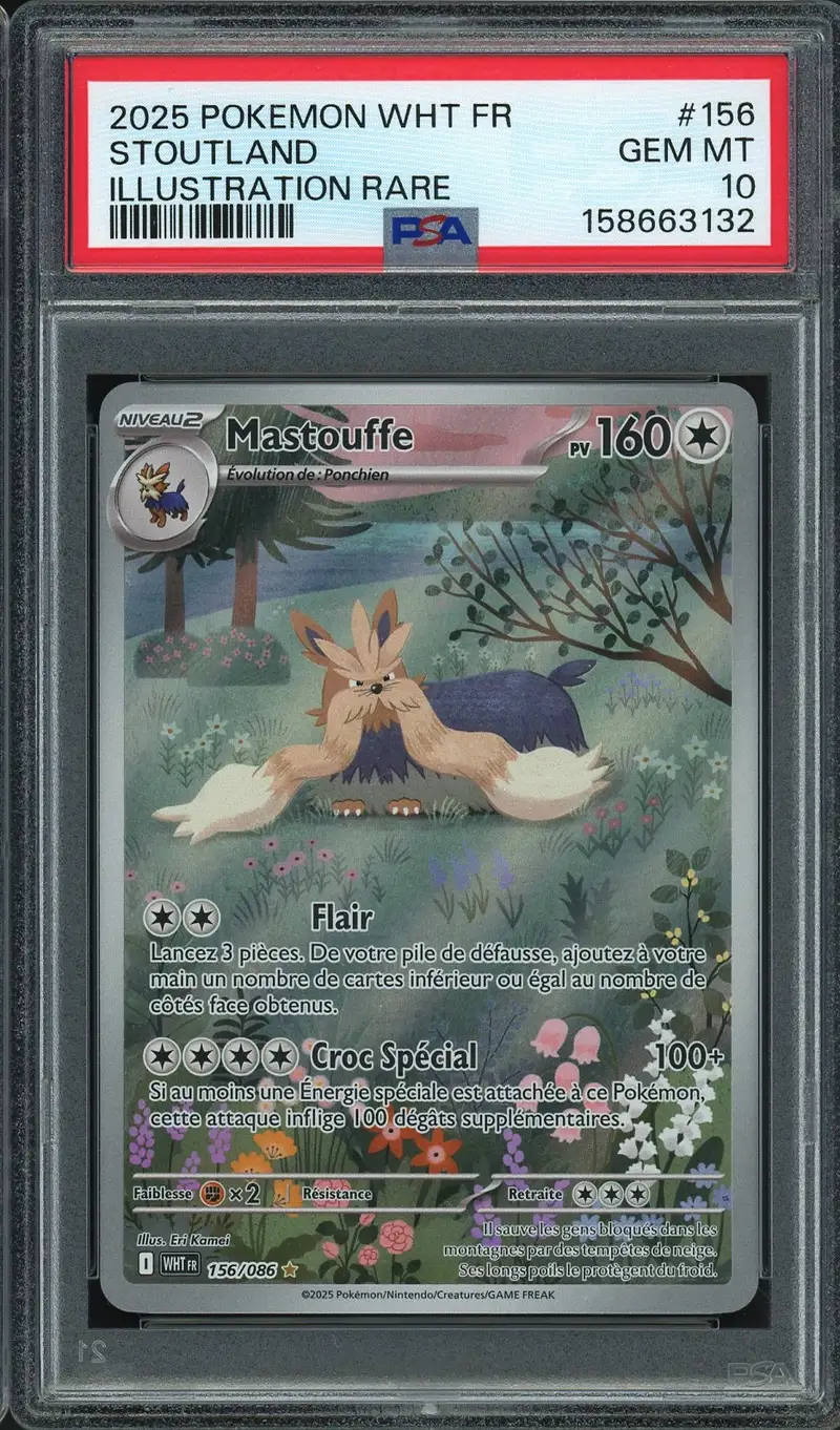 PSA 10 Mastouffe