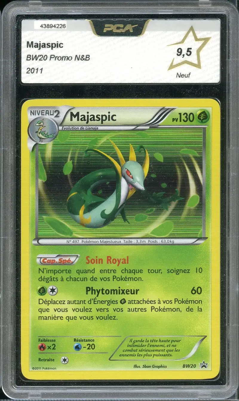PCA 9.5 Majaspic Holo