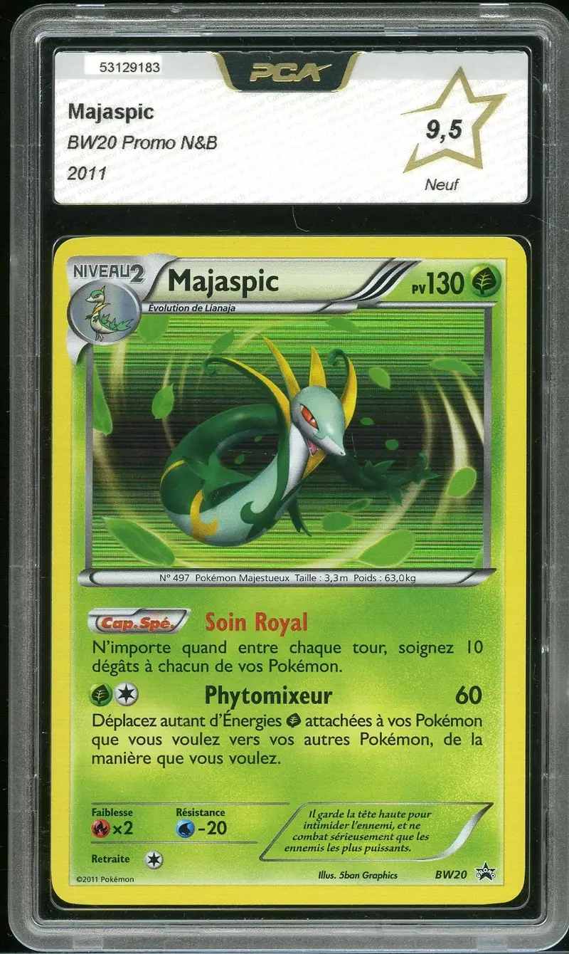 PCA 9.5 Majaspic Holo