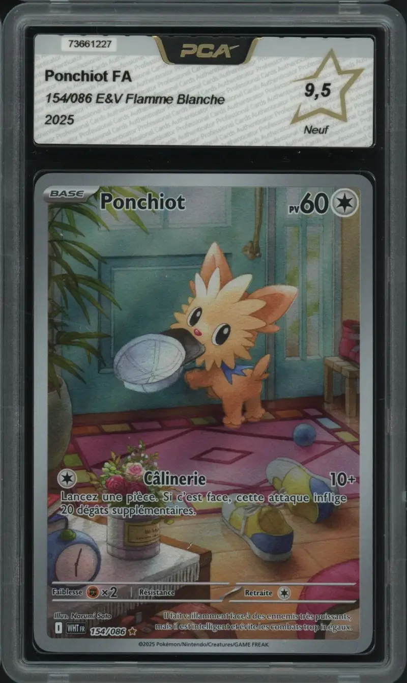PCA 9.5 Ponchiot