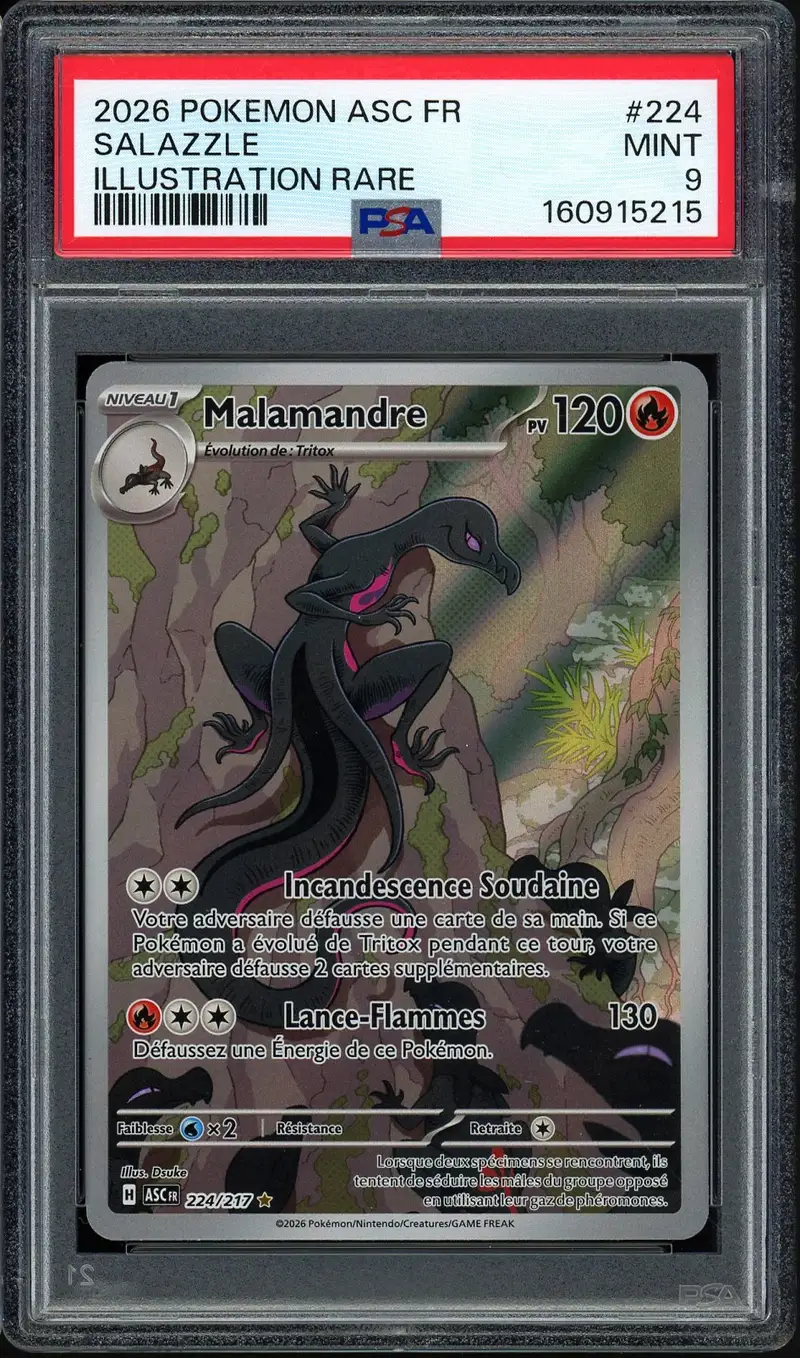 PSA 9 Malamandre