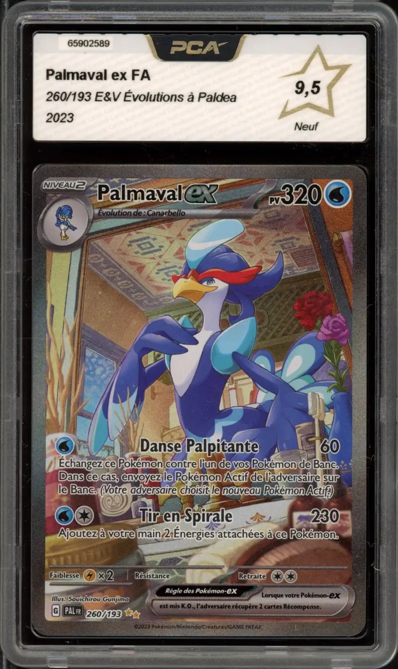 PCA 9.5 Palmaval Ex