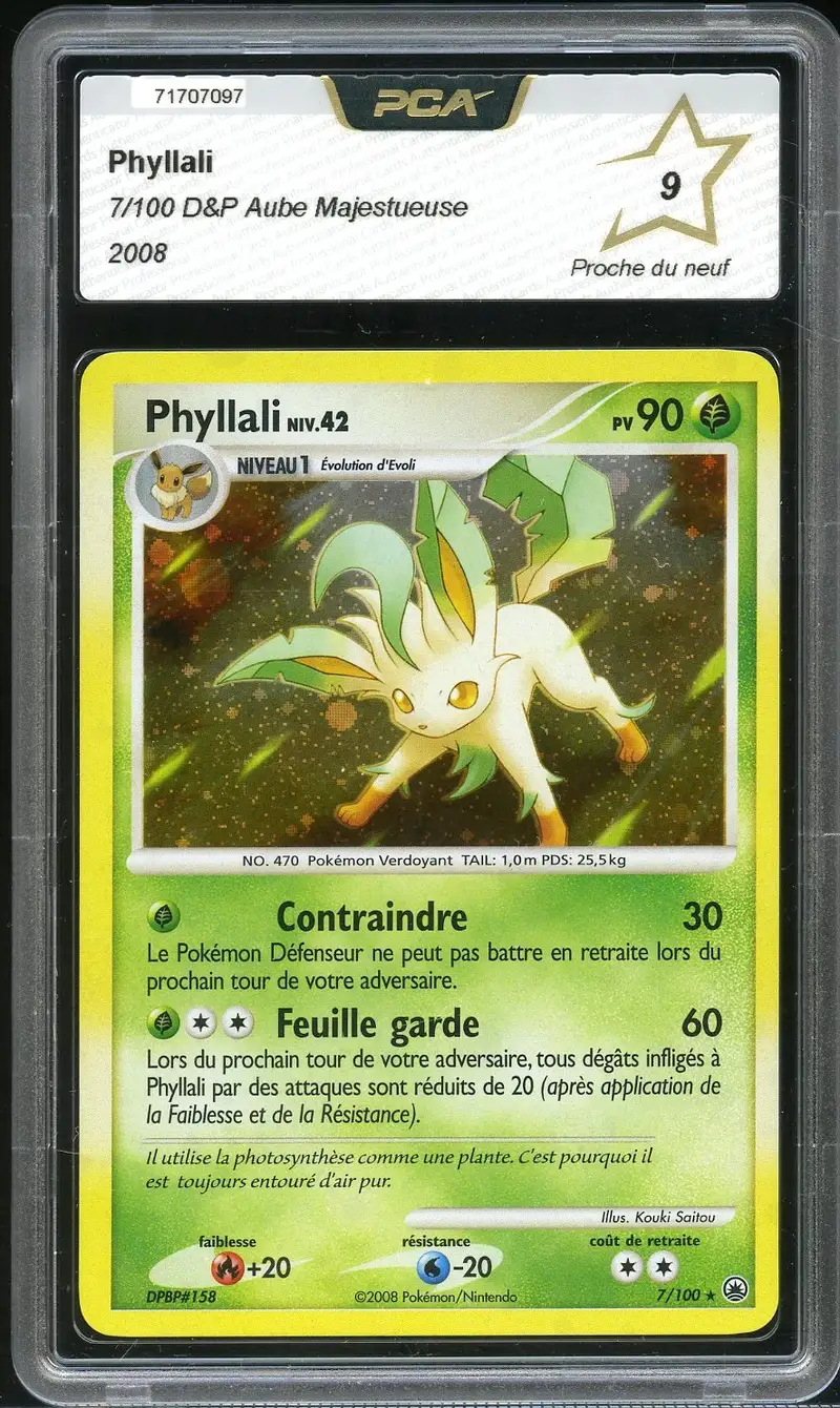 PCA 9 Phyllali Holo