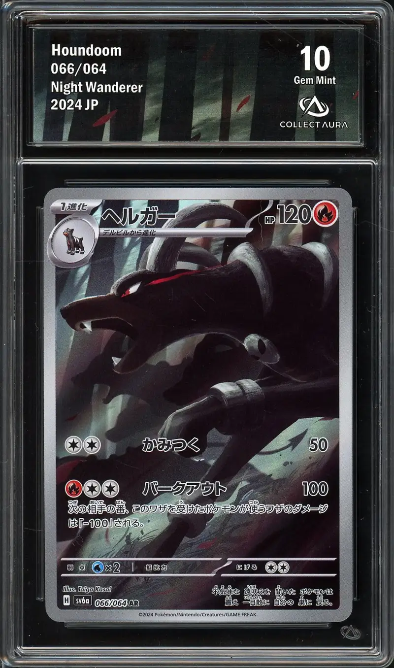 CA 10 Houndoom