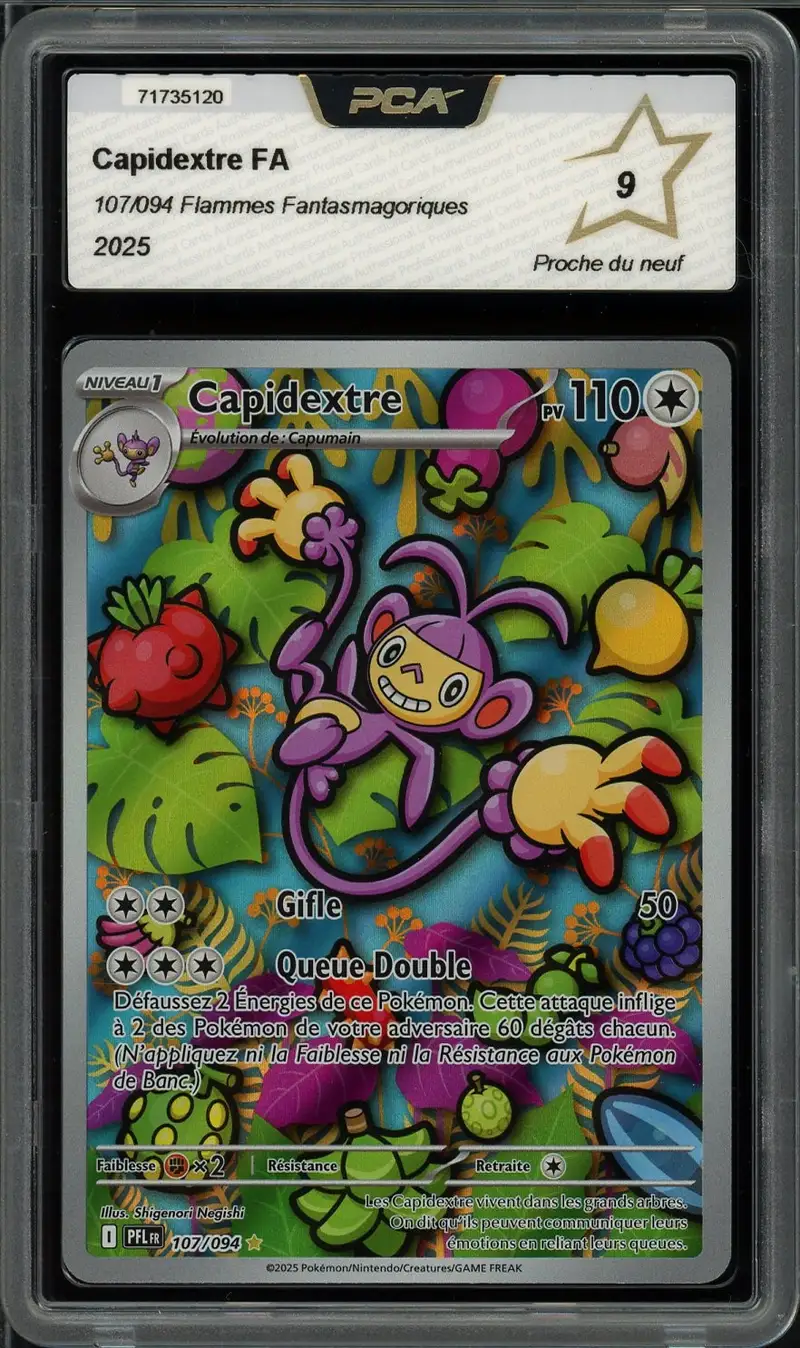 PCA 9 Capidextre