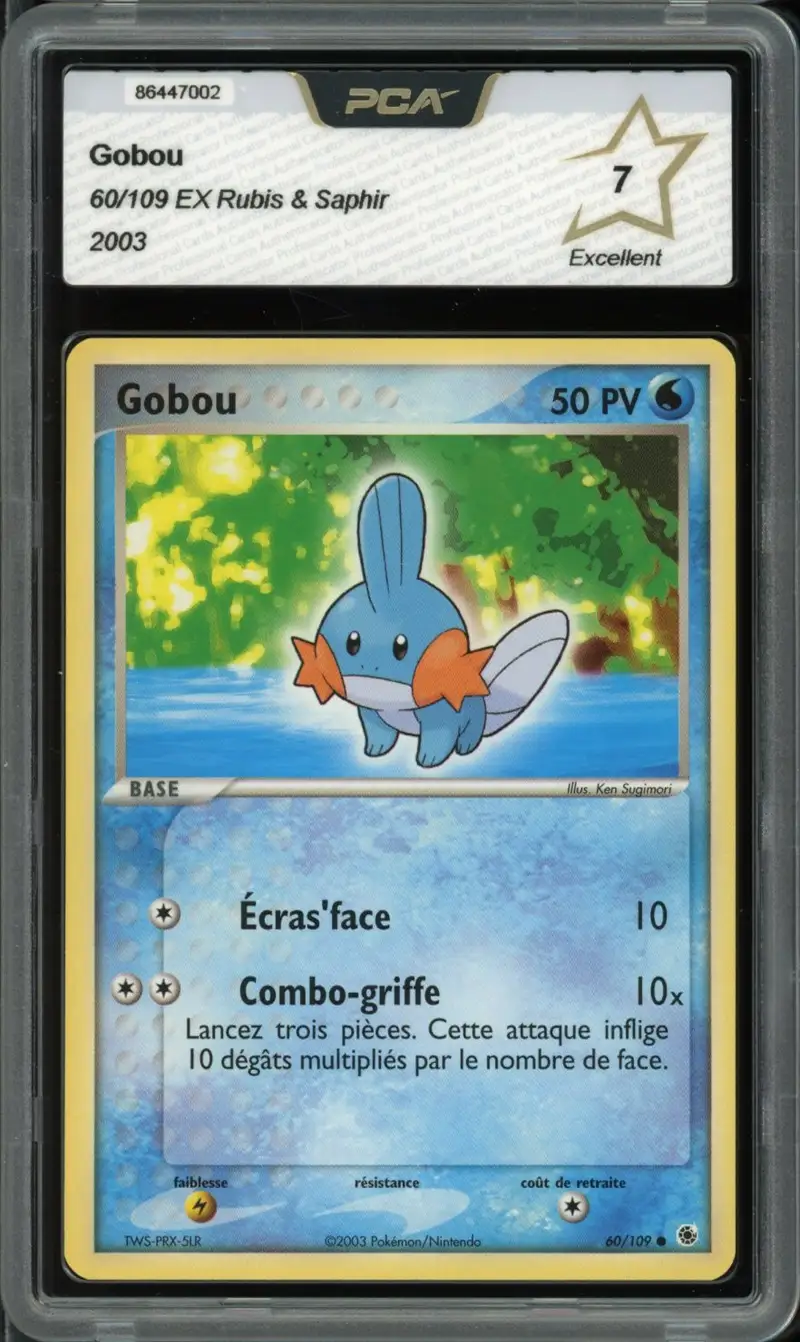 PCA 7 Gobou