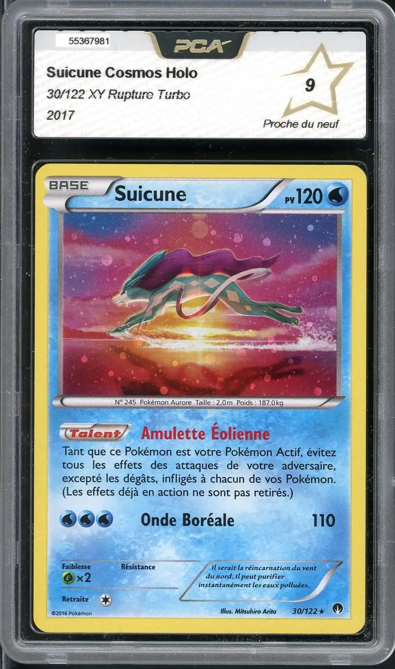 PCA 9 Suicune Holo