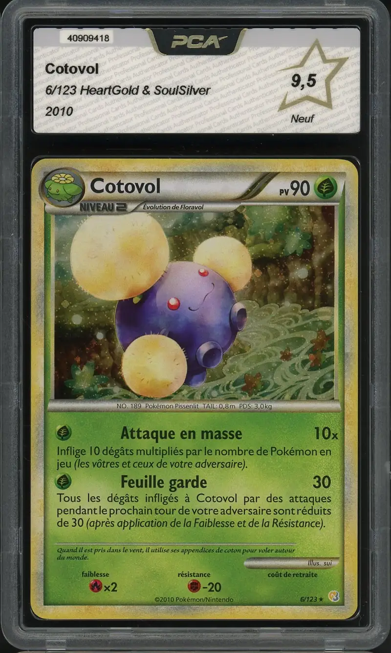 PCA 9.5 Cotovol Holo